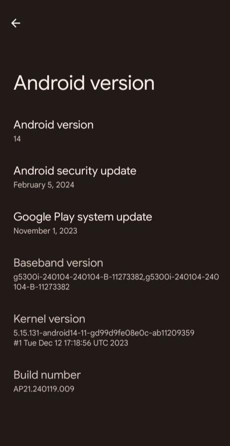 Pixel 8 Android 14 Beta 1 Update 