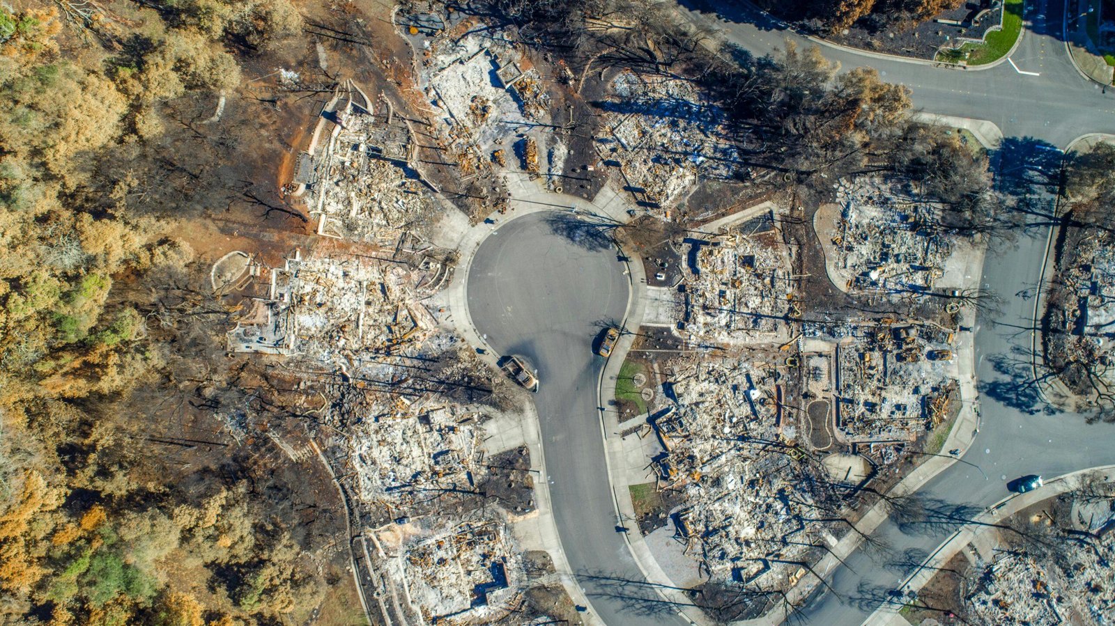 AI in Disaster Prediction