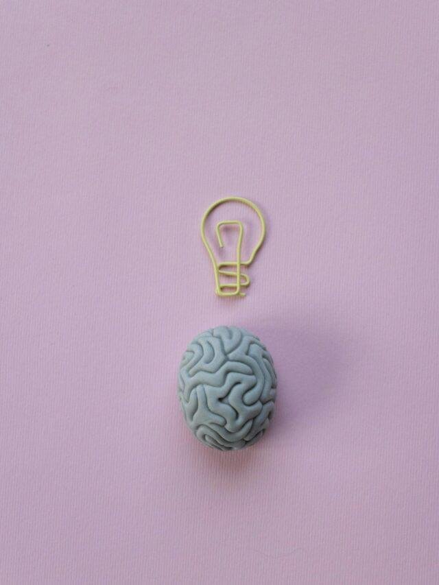 Brain