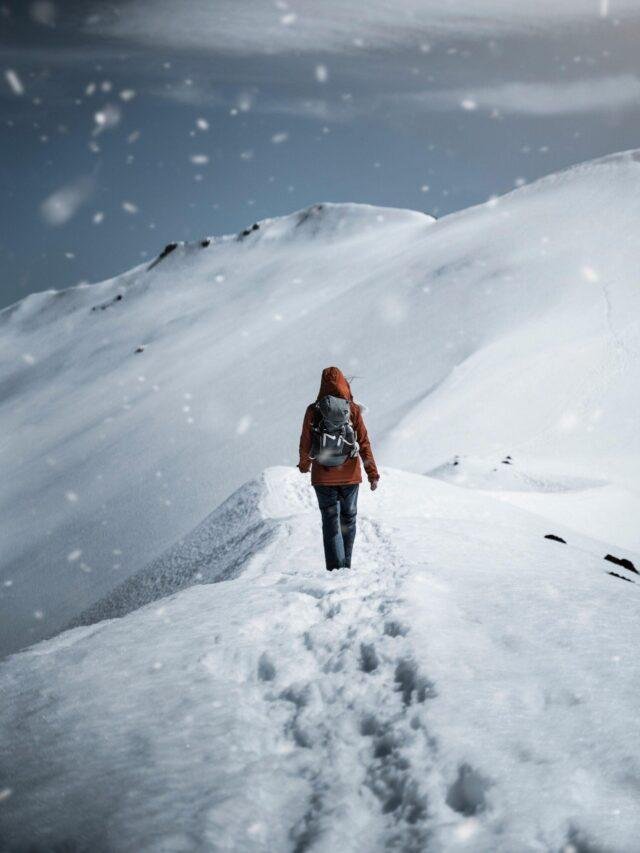 Nature, Mountain, forest, Travel