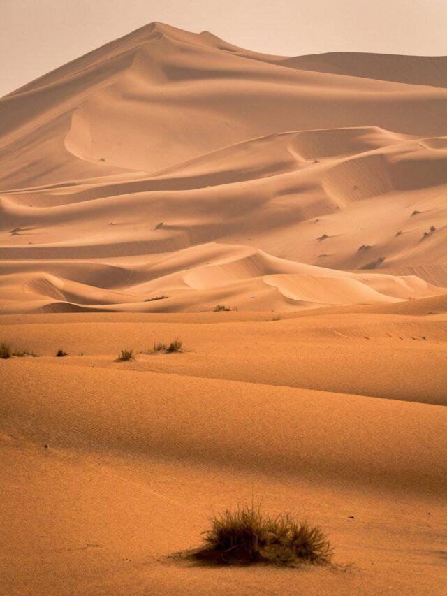 Desert