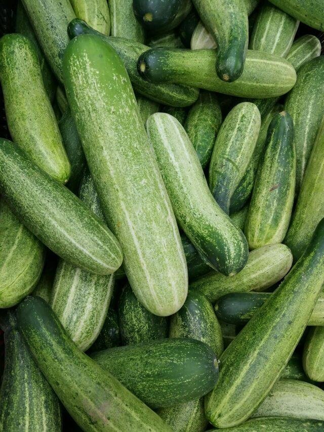 Cucumber